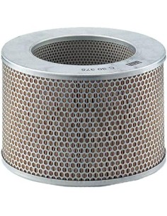 Cartucho filtro aire C30375